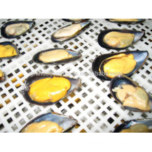 frozen cooked half shell mussel